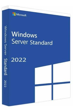Windows Server 2022 Standard Lisans